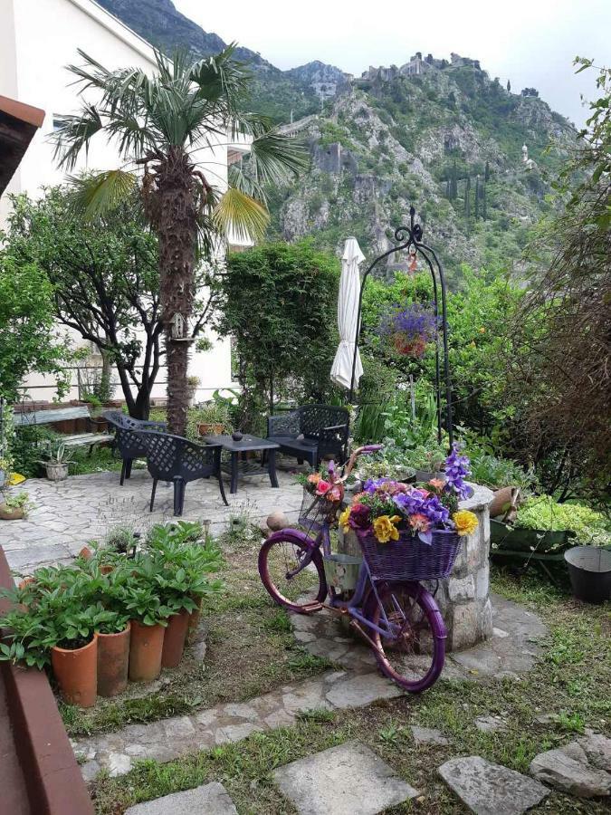 Apartments Sandra Kotor Kültér fotó